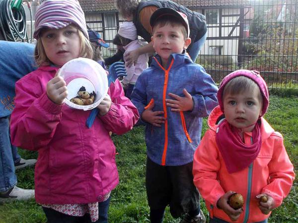 Bild vergrößern: Kartoffelfest in der Kinderkrippe Hackenstedt