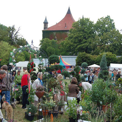 Bild vergrößern: Gartenfest vor Schloss Derneburg