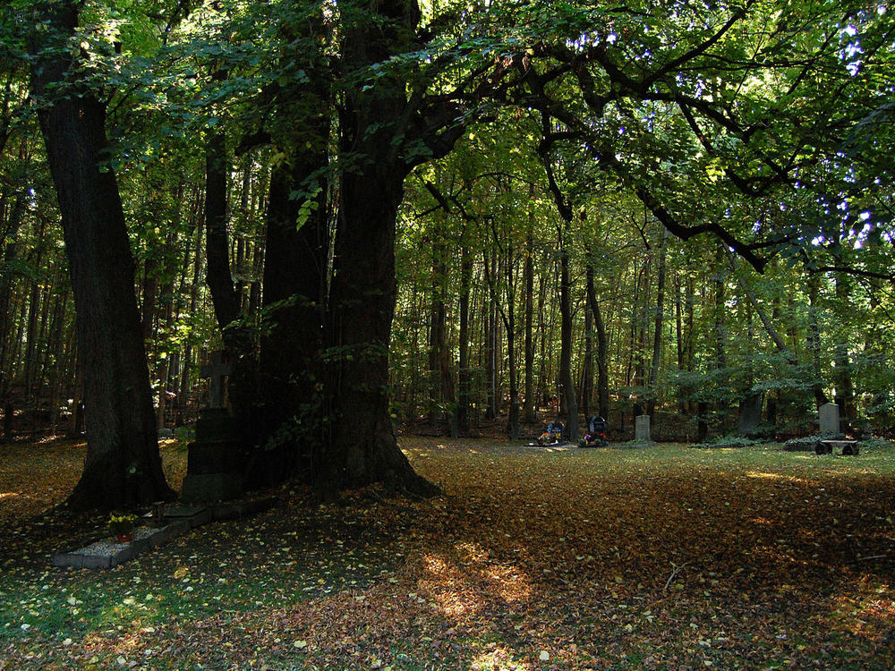 Bild vergrößern: Waldfriedhof-Söder