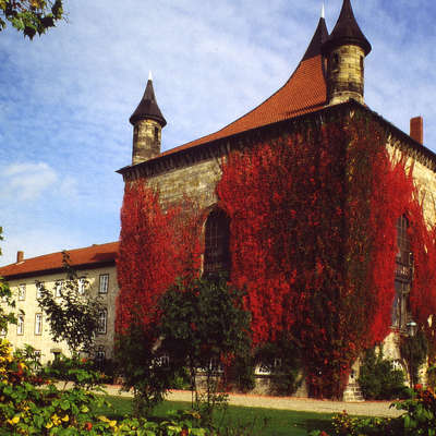 Bild vergrößern: Schloss-Derneburg-Efeu