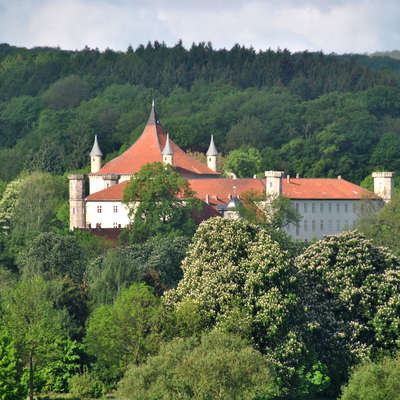 Bild vergrößern: Schloss-Derneburg-Wald